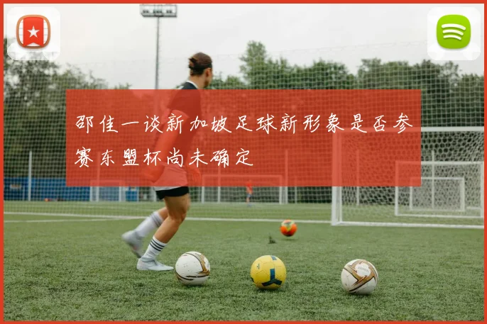 邵佳一谈新加坡足球新形象是否参赛东盟杯尚未确定
