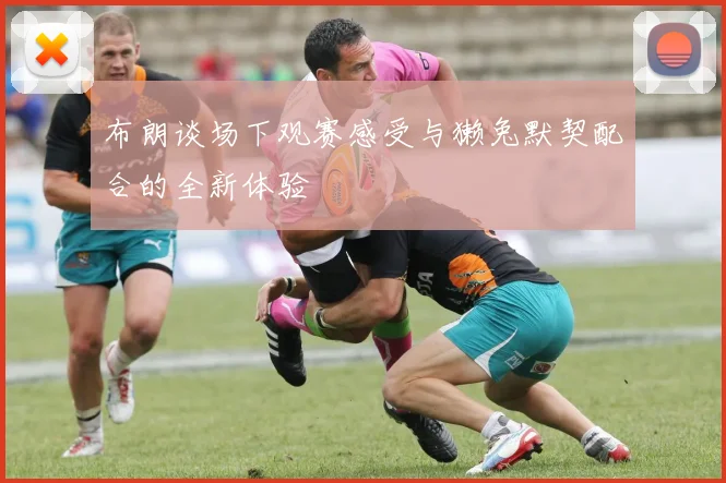 布朗谈场下观赛感受与獭兔默契配合的全新体验