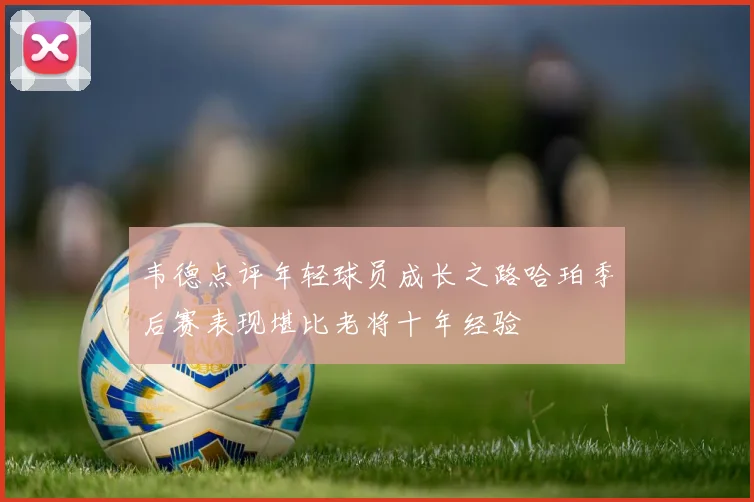 韦德点评年轻球员成长之路哈珀季后赛表现堪比老将十年经验